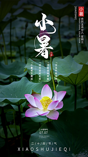 小暑节气简约大气海报