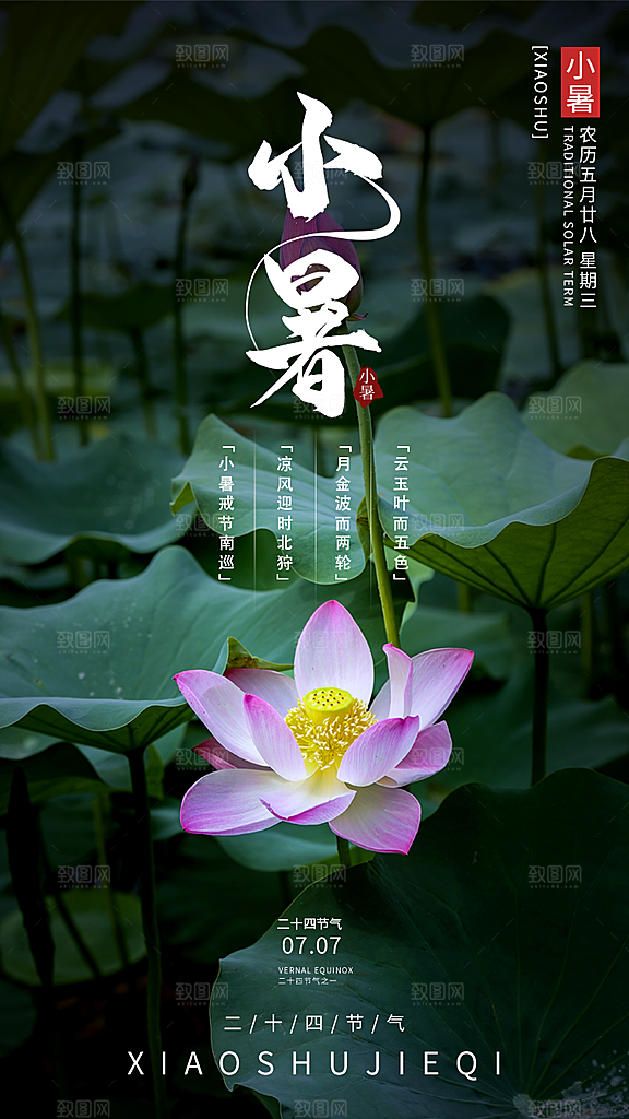小暑节气简约大气海报