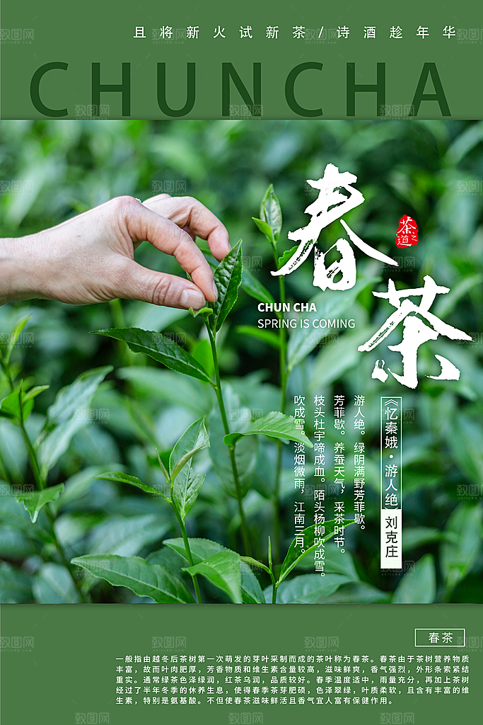 春茶上市活动宣传海报