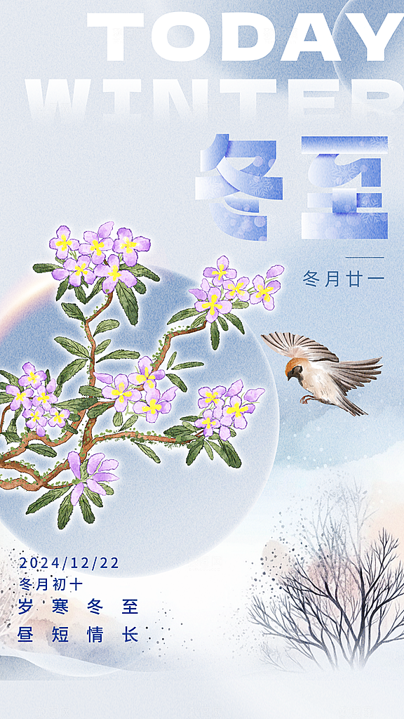 清新冬至节气宣传海报
