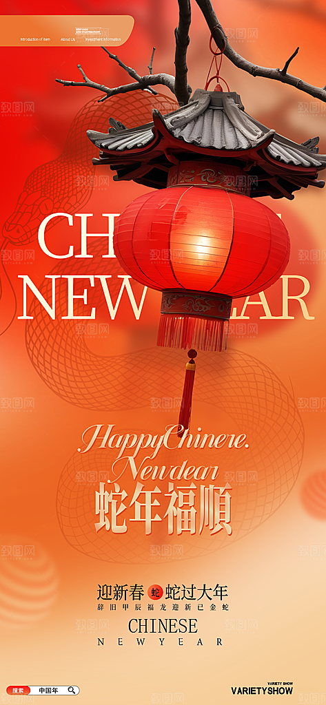 2025蛇年新年春节节日节庆海报