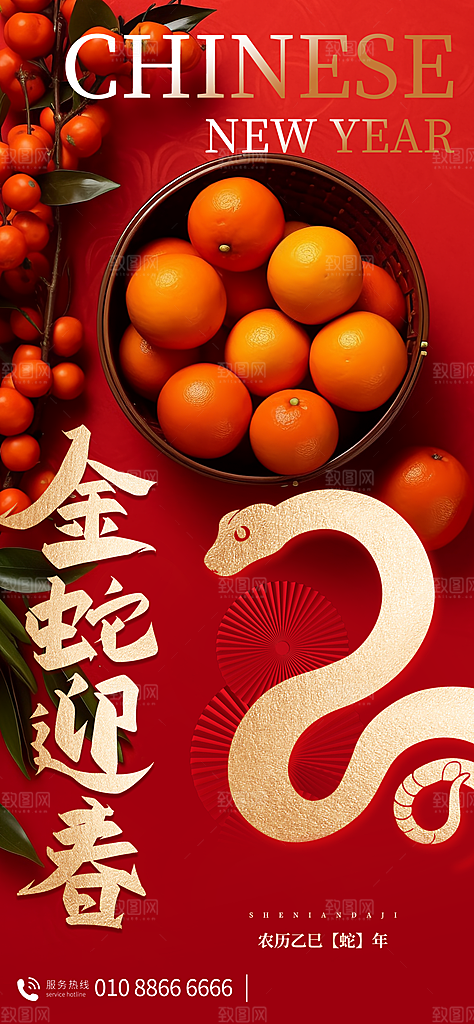 2025蛇年新年春节节日节庆海报