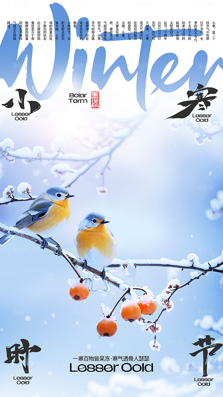 小寒节气简约大气海报