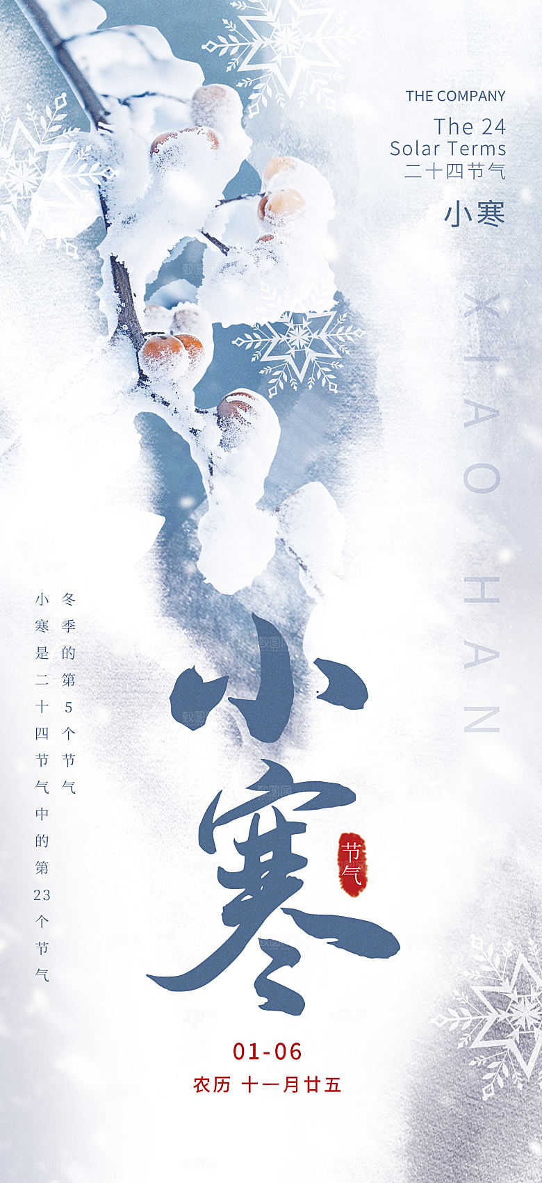 小寒节气简约大气海报