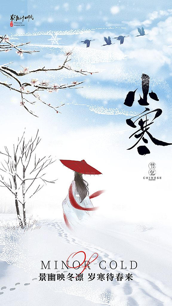 小寒节气简约大气海报