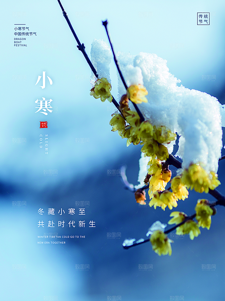 传统节气小寒海报模版