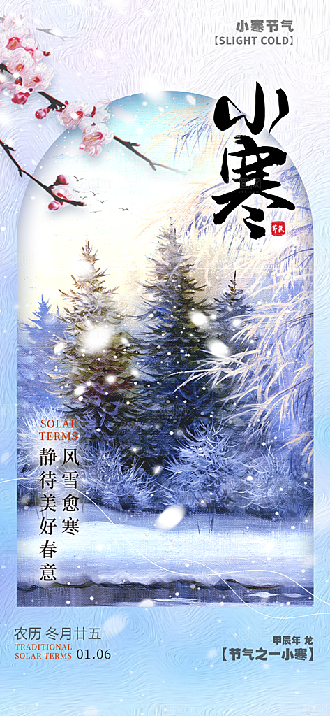 小寒节气简约大气海报