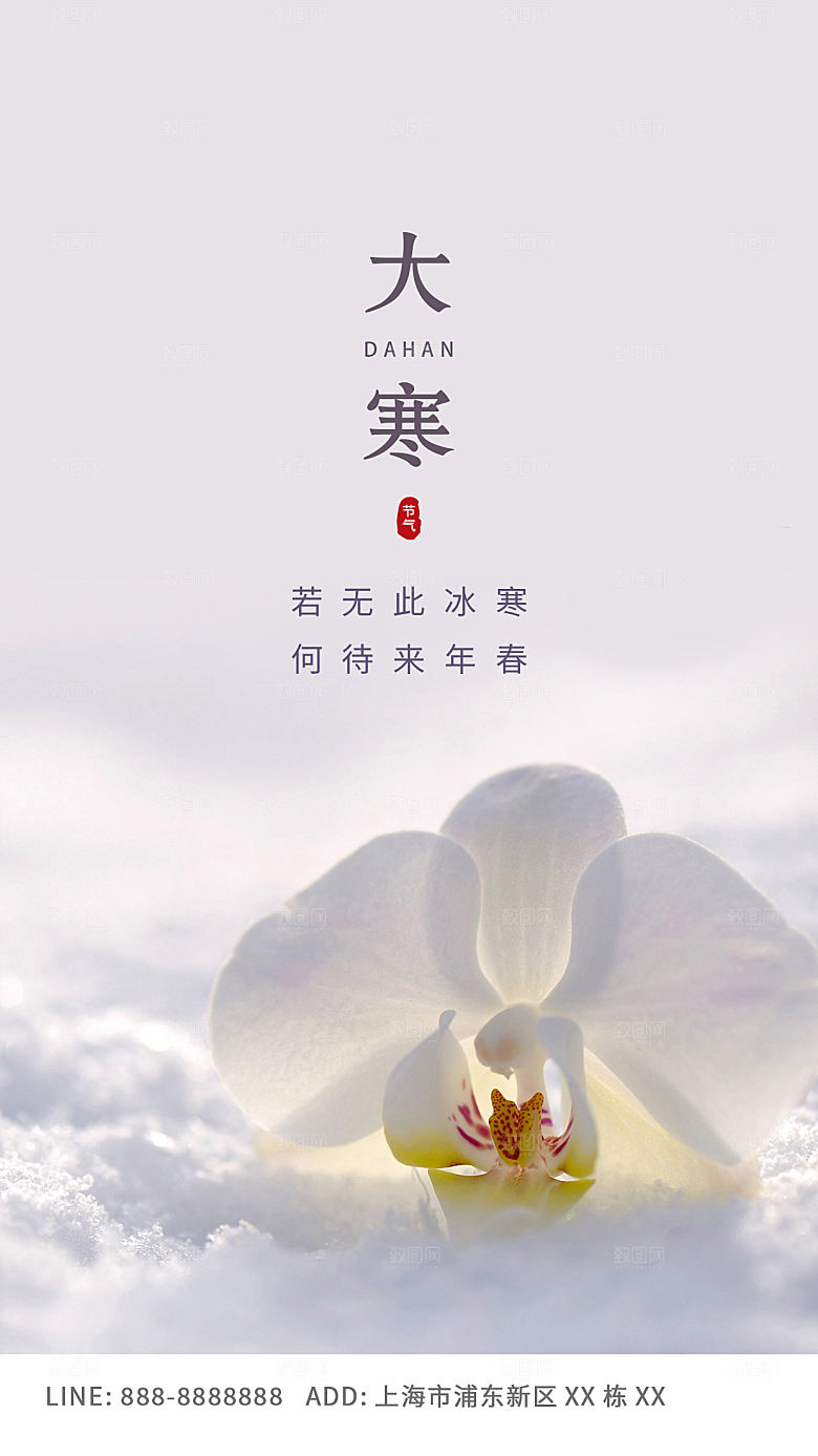 传统节气大寒海报模版