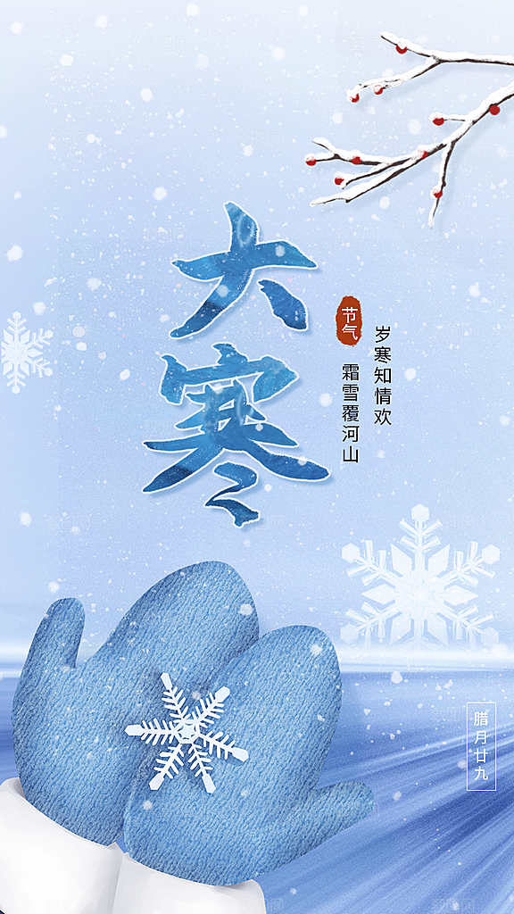 大寒节气简约大气海报