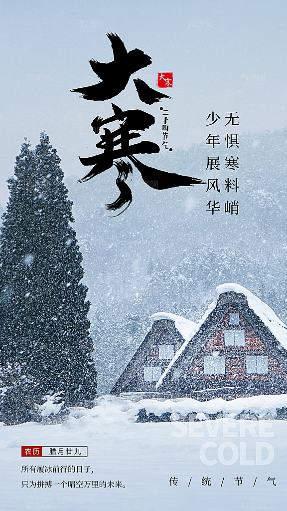 传统节气大寒海报模版