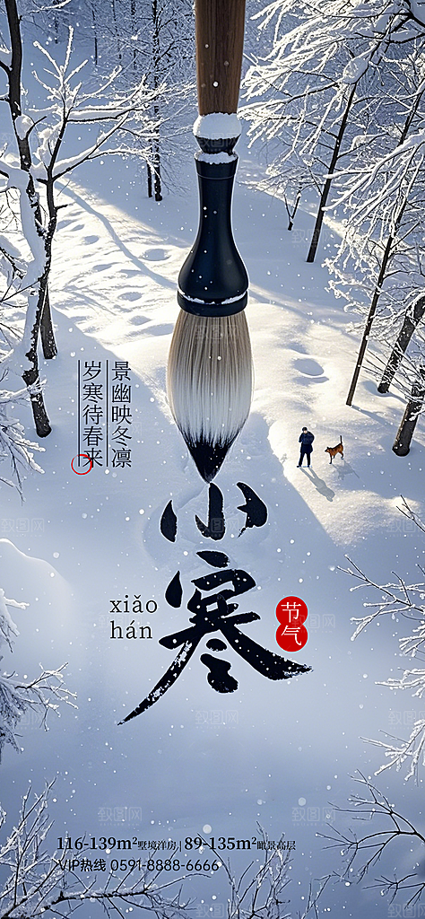 24节气节日节庆小寒宣传海报