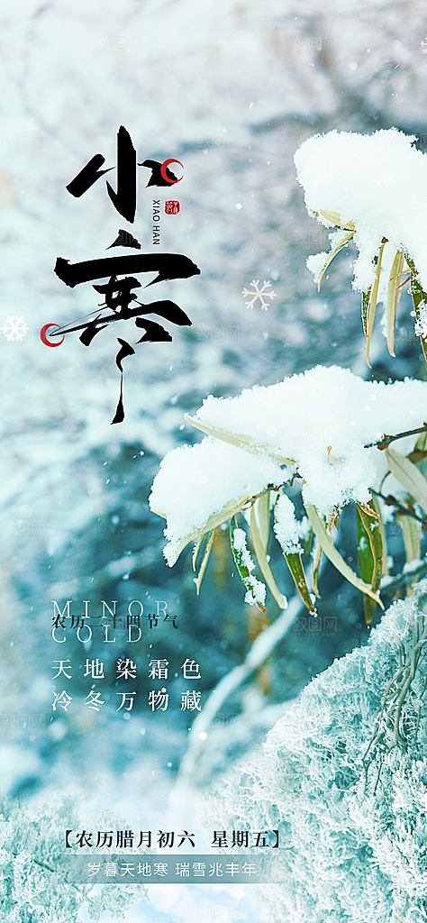 24节气节日节庆小寒宣传海报