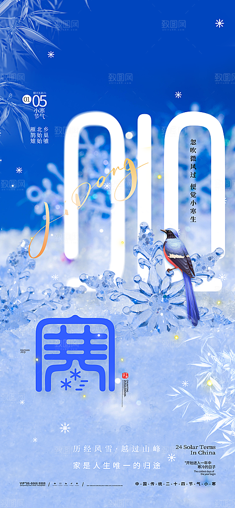 24节气节日节庆小寒宣传海报