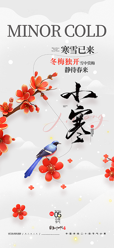 24节气节日节庆小寒宣传海报