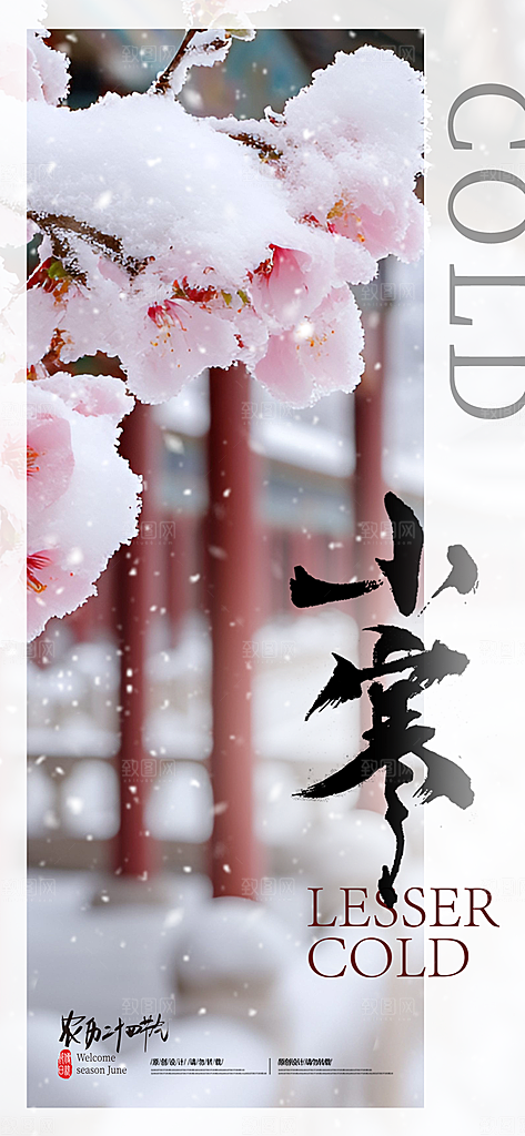 24节气节日节庆小寒宣传海报