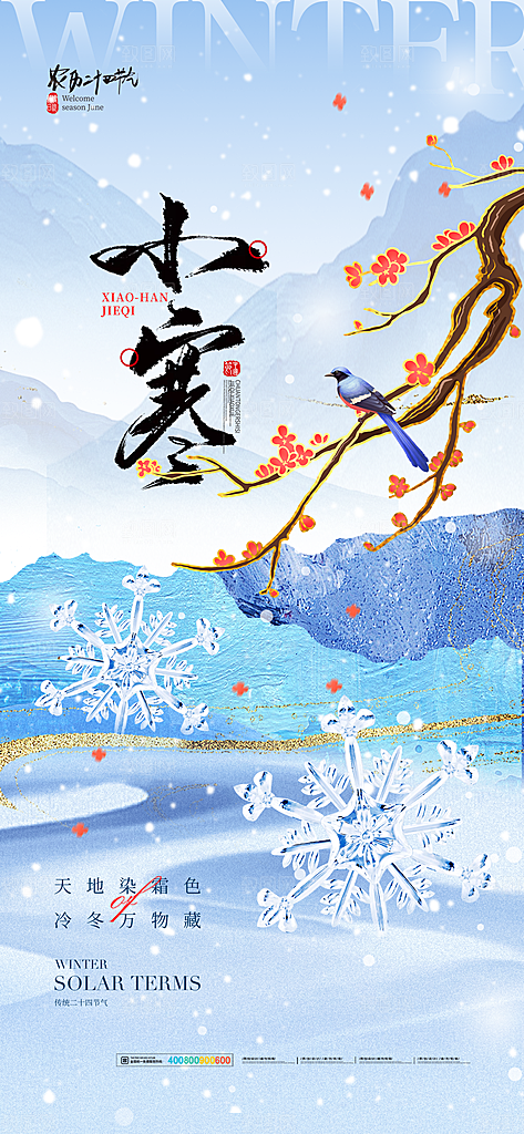24节气节日节庆小寒宣传海报