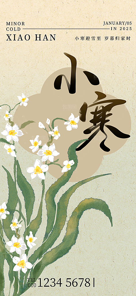 24节气节日节庆小寒宣传海报