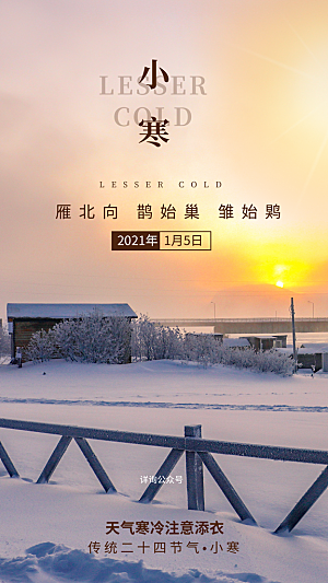 24节气节日节庆小寒宣传海报