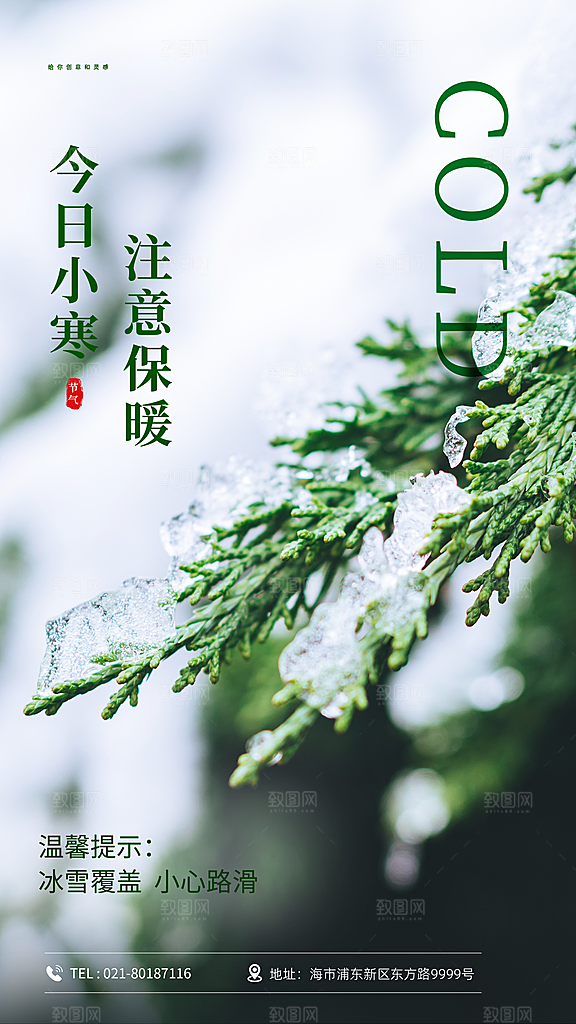 24节气节日节庆小寒宣传海报