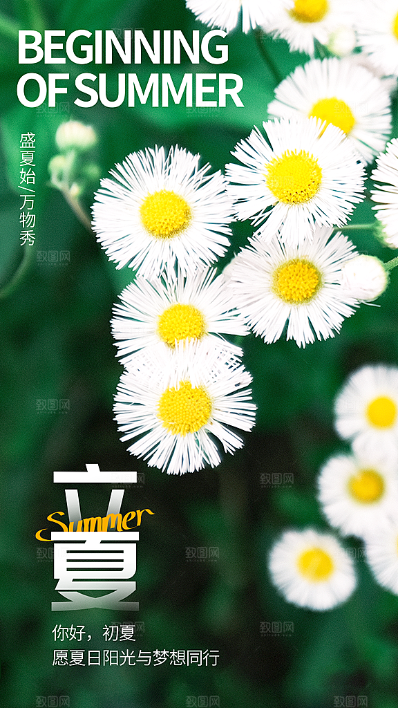 二十四节气中国传统节日立夏时节海报