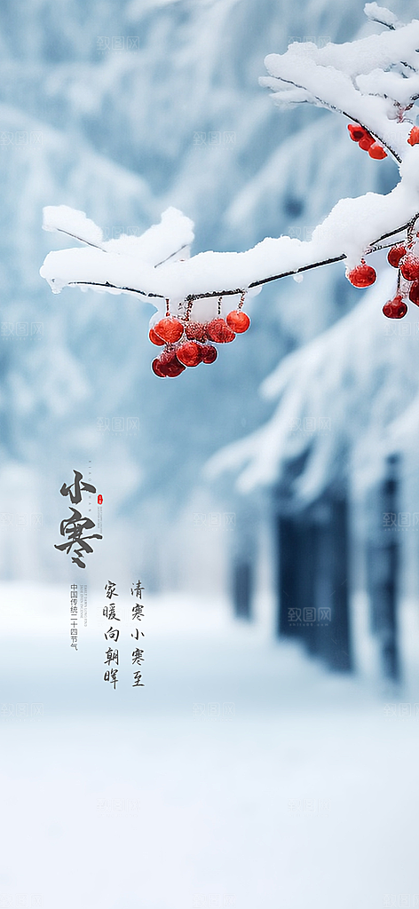 小寒传统节气简约风手机海报
