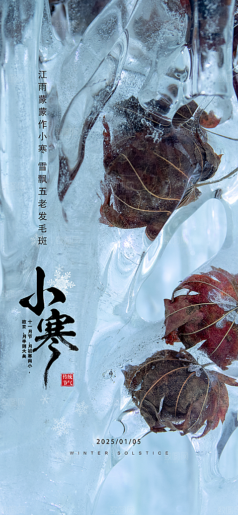 小寒传统节气简约风手机海报