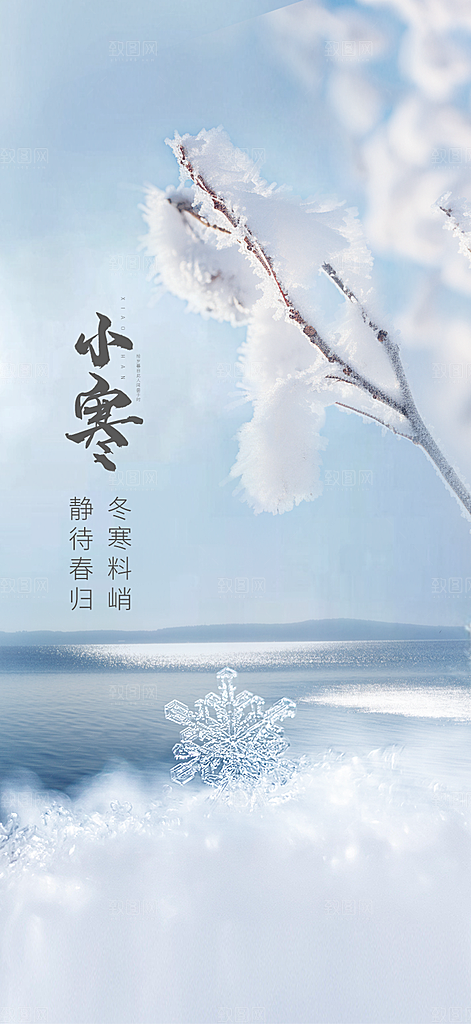 中国传统节气小寒手机海报