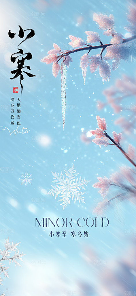 中国传统节气小寒手机海报