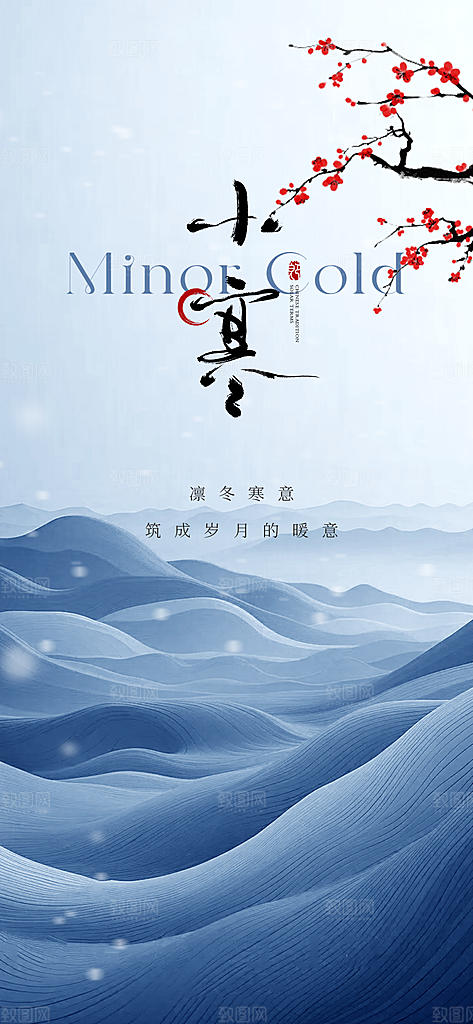 小寒传统节气简约风手机海报