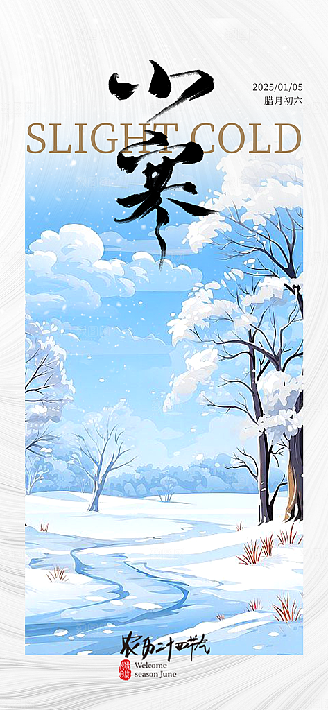 小寒传统节气简约风手机海报