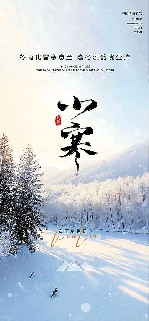 小寒传统节气简约风手机海报