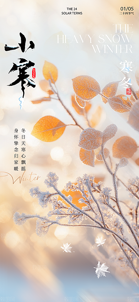 小寒传统节气简约风手机海报