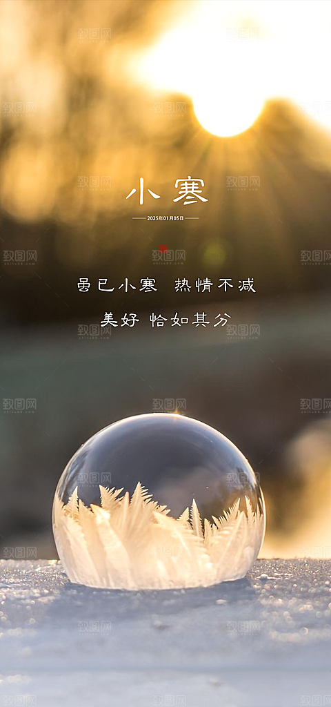 中国传统节气小寒手机海报