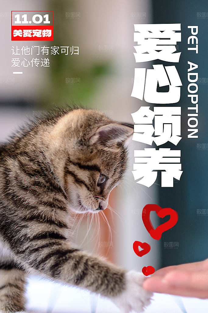 质感萌宠宠物宣传海报