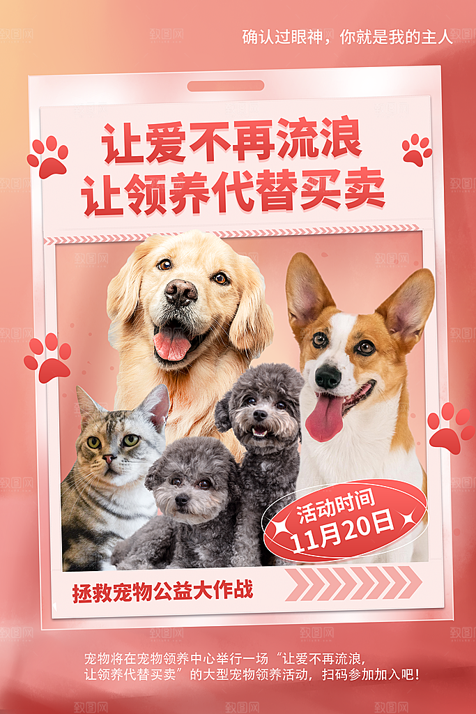 质感萌宠宠物宣传海报