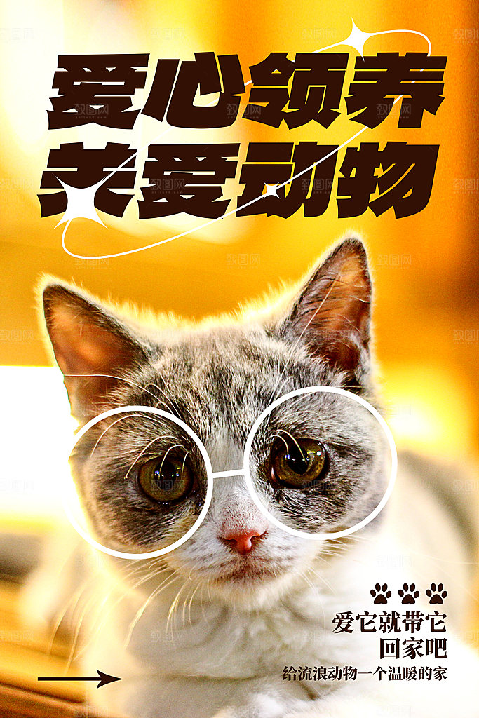 质感萌宠宠物宣传海报
