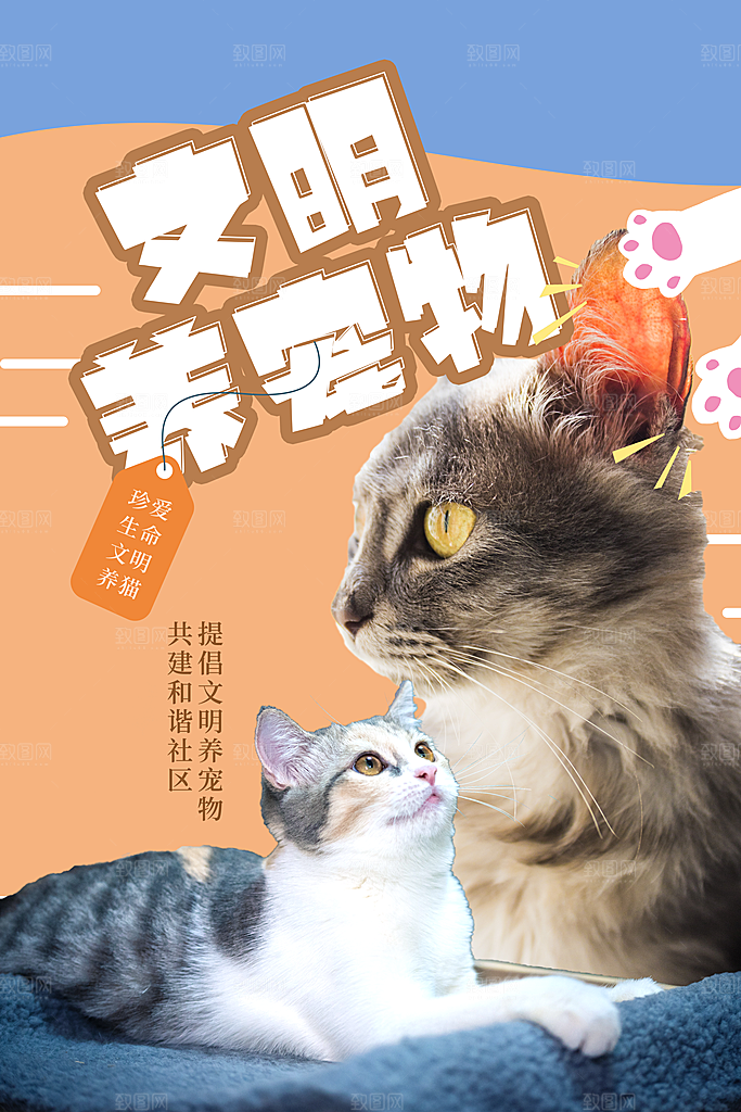 质感萌宠宠物宣传海报