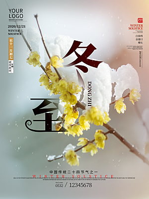 冬至节气简约大气海报