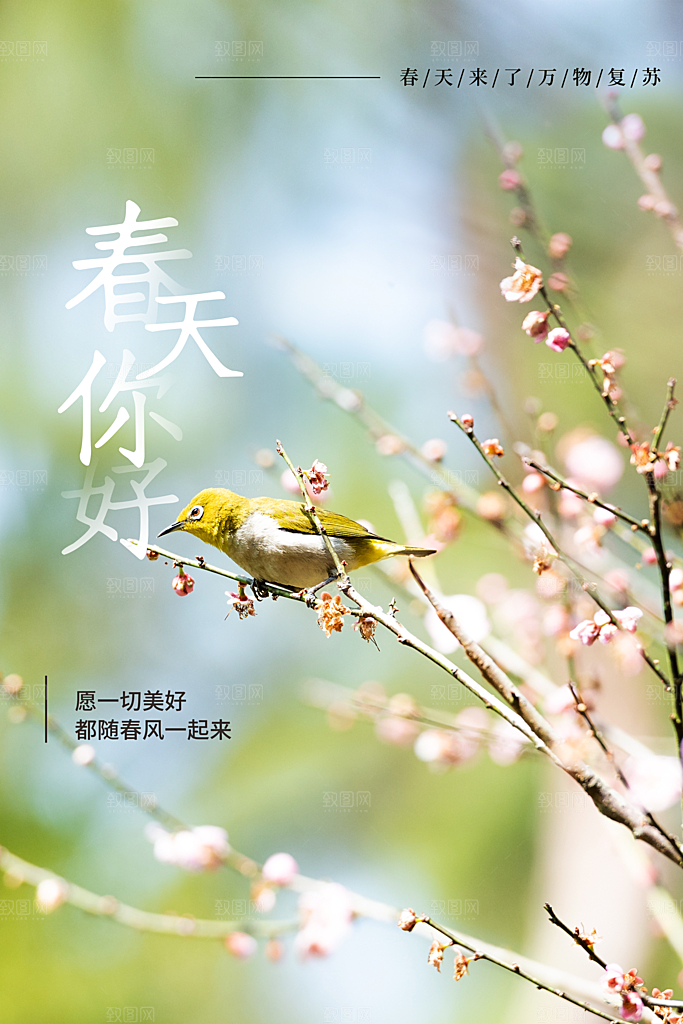 你好春天赏花立春春游踏青春季花开海报