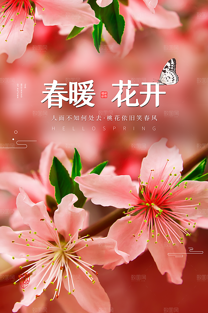 你好春天赏花立春春游踏青春季花开海报