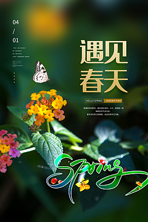 你好春天赏花立春春游踏青春季花开海报