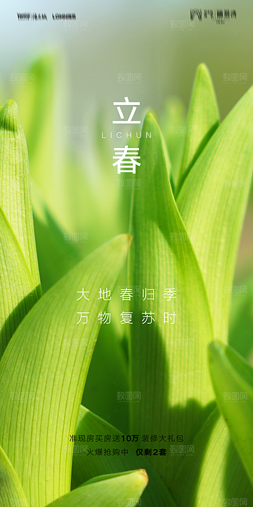 传统节气立春海报模版