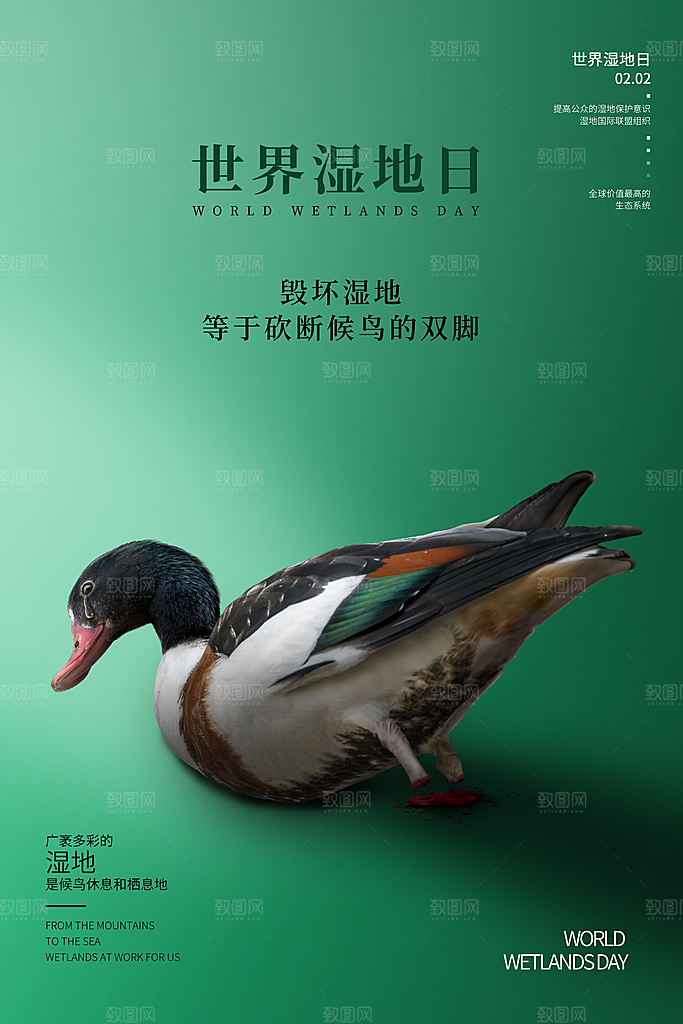 世界湿地日保护湿地大自然环保海报