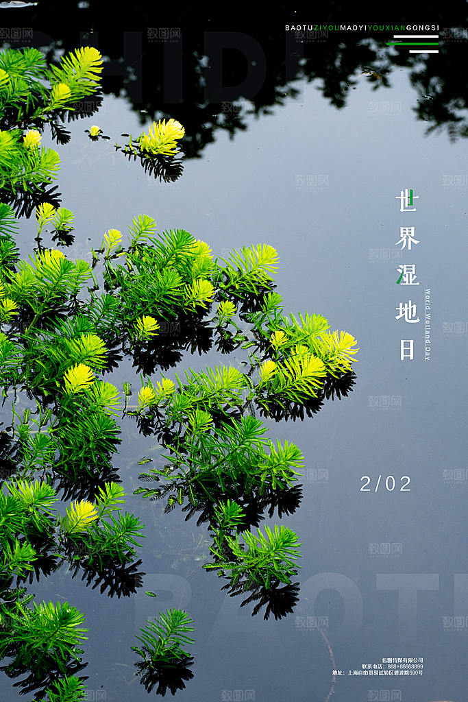 世界湿地日保护湿地大自然环保海报