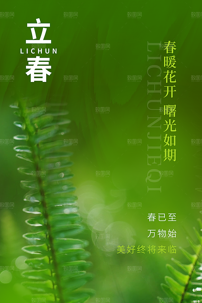 立春节气简约大气海报