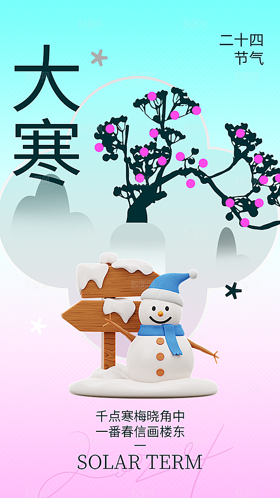 高端大寒节气宣传海报