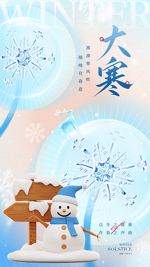 高端大寒节气宣传海报