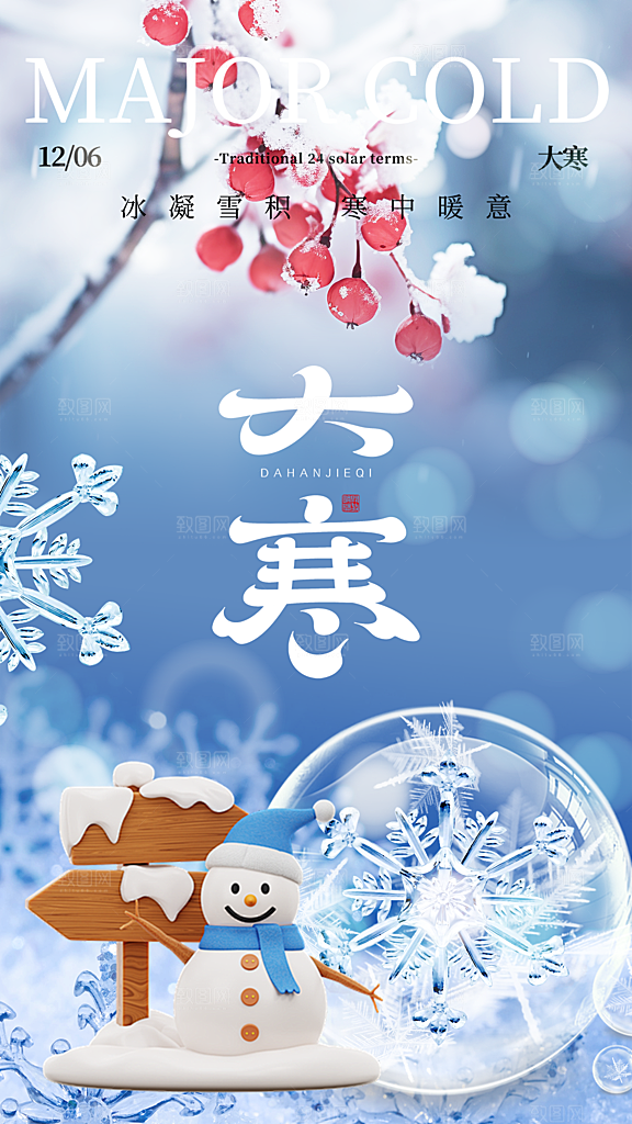 高端大寒节气宣传海报