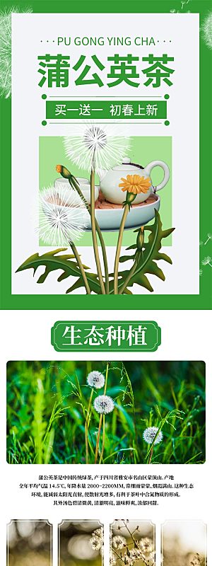 淘宝电商花茶详情页