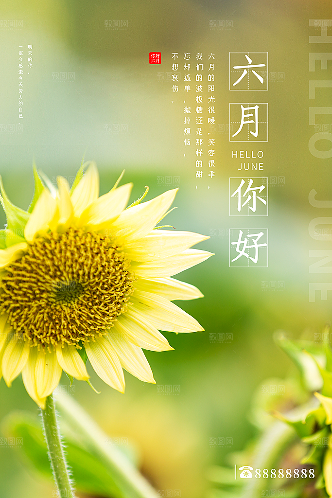6月你好夏天夏季月份夏日签打卡励志海报